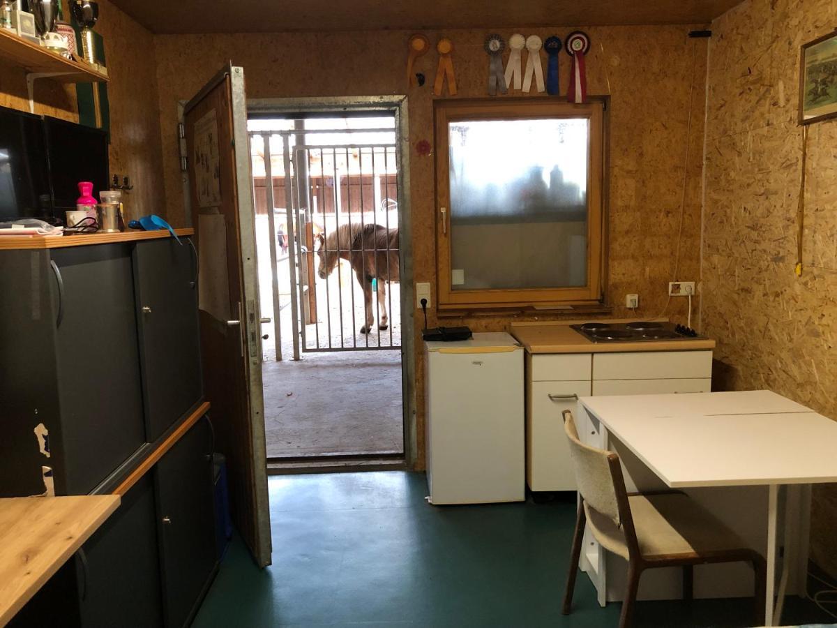 Reitschule Kronwitter Mainbernheim 外观 照片