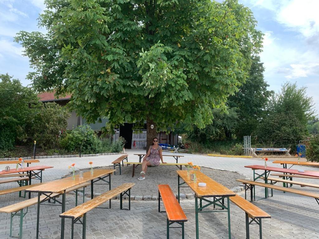 Reitschule Kronwitter Mainbernheim 外观 照片